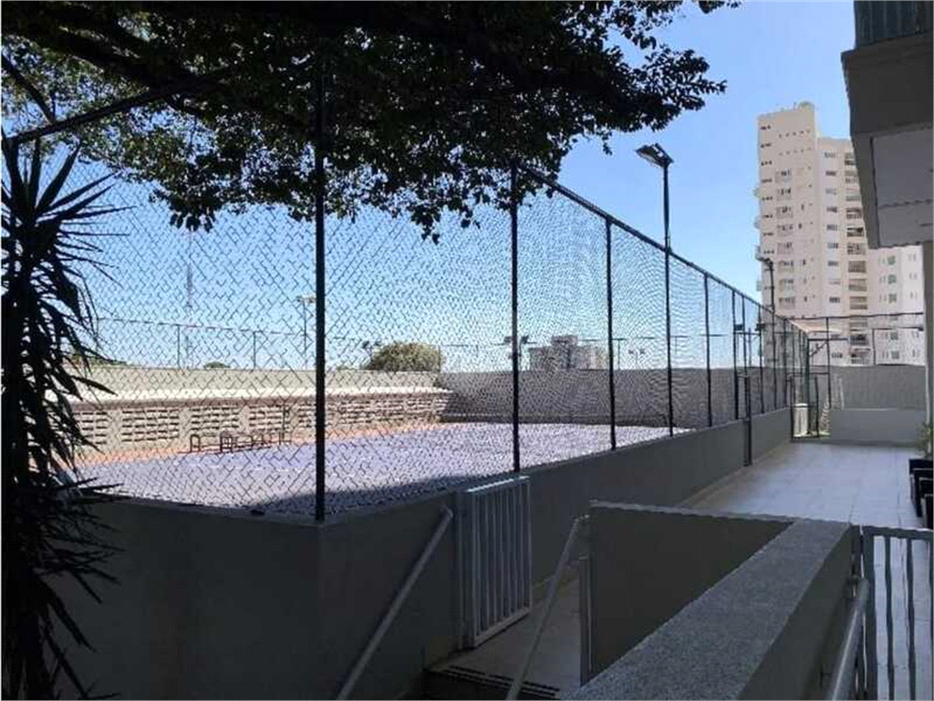 Venda Apartamento Indaiatuba Vila Sfeir REO770060 25