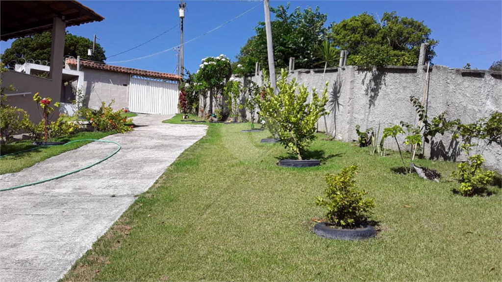 Venda Chácara Vila Velha Área Rural De Vila Velha REO770923 19