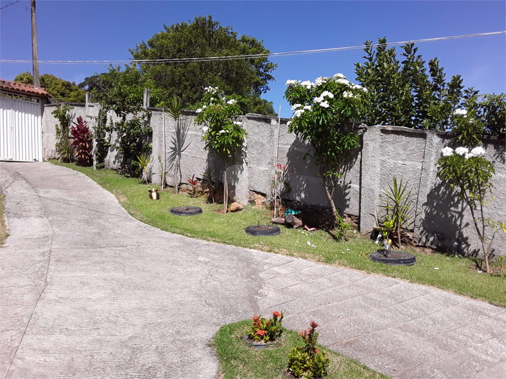 Venda Chácara Vila Velha Área Rural De Vila Velha REO770923 11