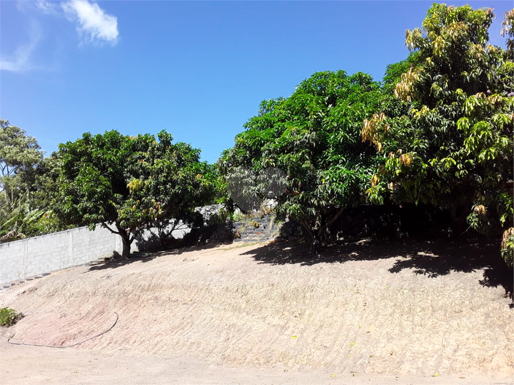 Venda Chácara Vila Velha Área Rural De Vila Velha REO770923 8