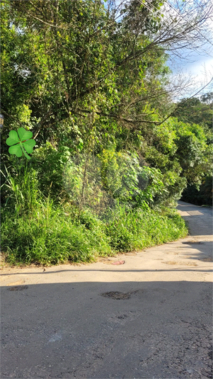 Venda Loteamento Mairiporã Canjica (terra Preta) REO770925 2