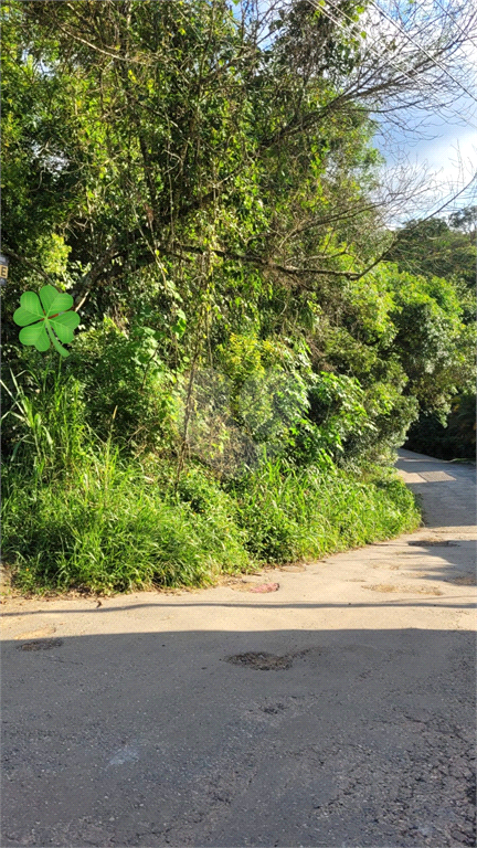 Venda Loteamento Mairiporã Canjica (terra Preta) REO770930 5