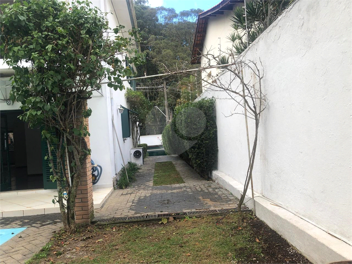 Foto REO771385