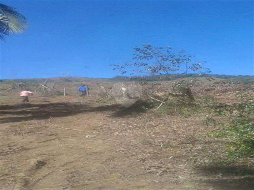 Venda Terreno São Roque Bairro Do Cambará REO772076 13