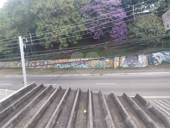 Foto REO772159