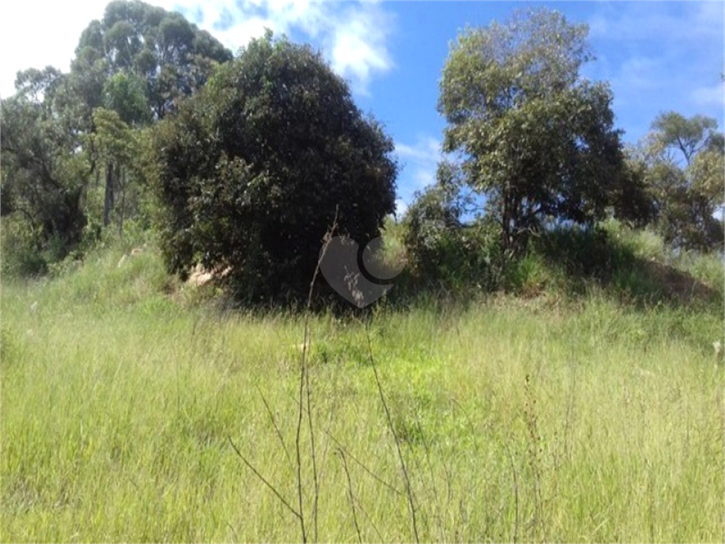 Venda Terreno São Roque Marmeleiro REO772882 3