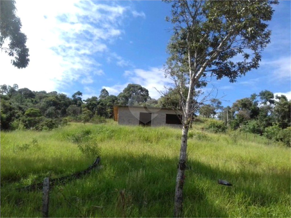 Venda Terreno São Roque Marmeleiro REO772882 5