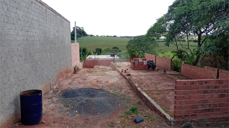 Foto REO773779