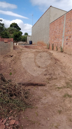 Foto REO773779