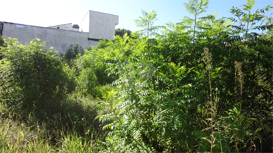 Venda Terreno São Paulo Jardim Monte Kemel REO773818 9