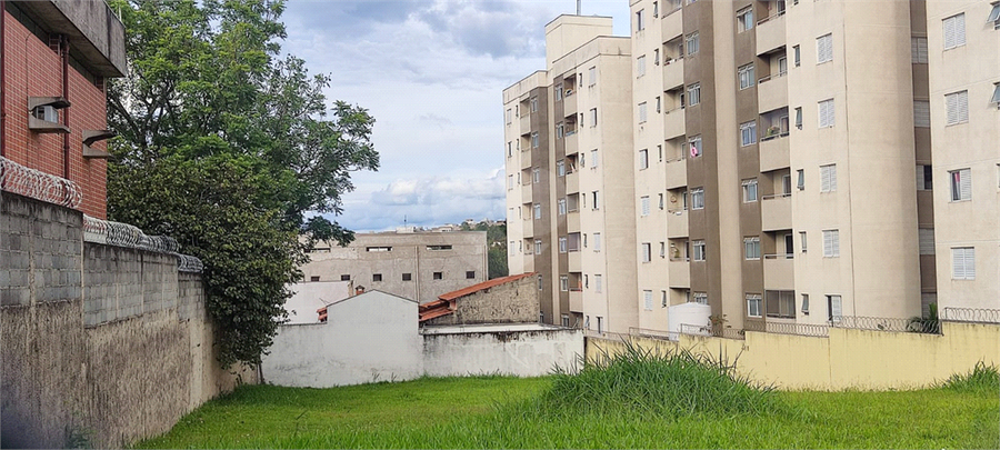 Foto REO774169