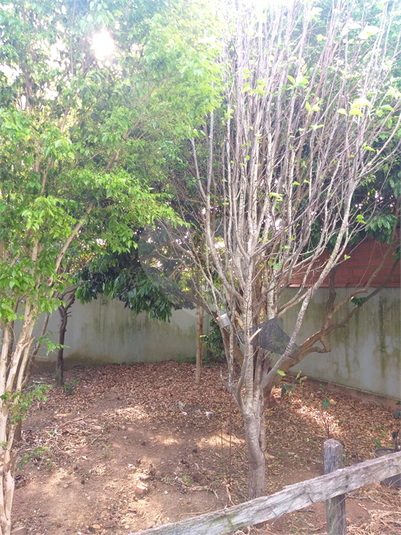 Foto REO774194