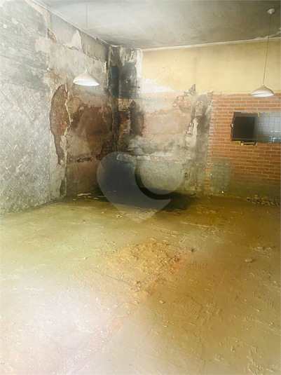 Foto REO774379
