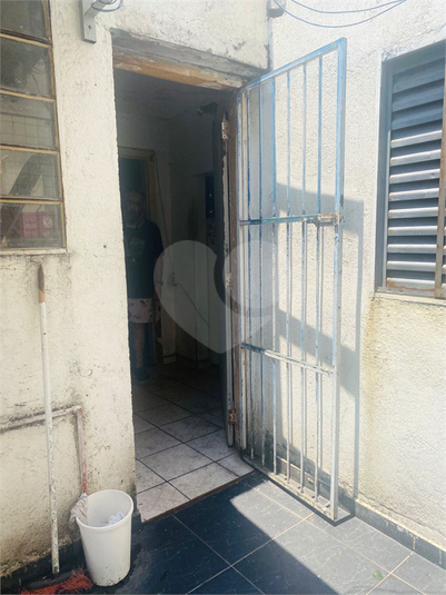 Foto REO774379