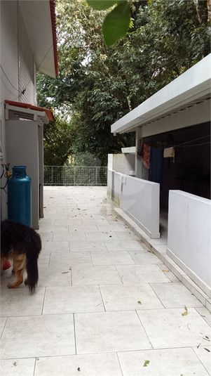 Foto REO774526