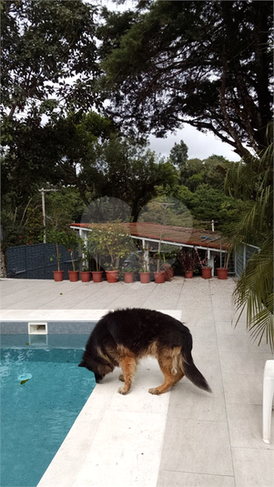Foto REO774526