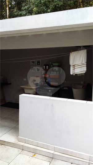 Foto REO774526
