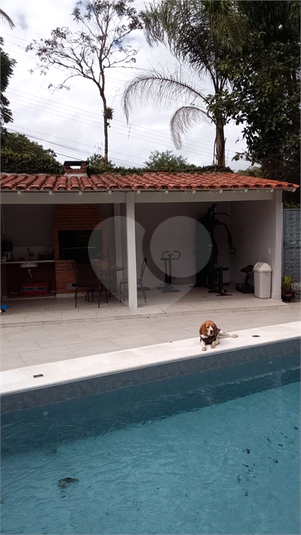 Foto REO774526