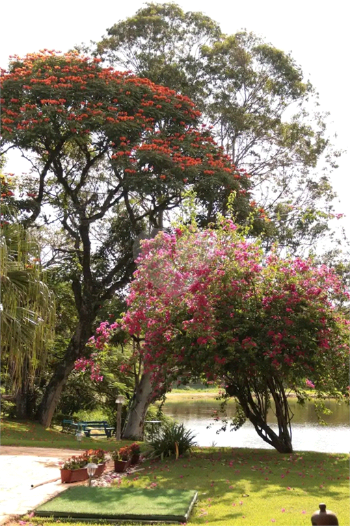 Venda Chácara Valinhos Vale Verde REO774957 27