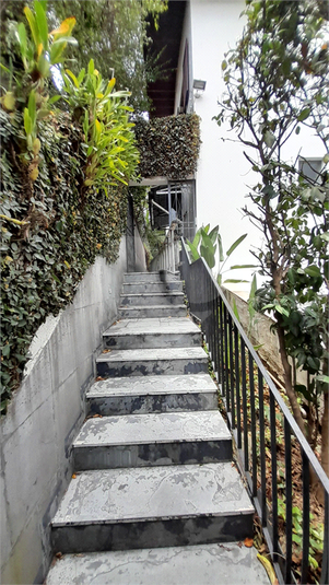 Foto REO775127