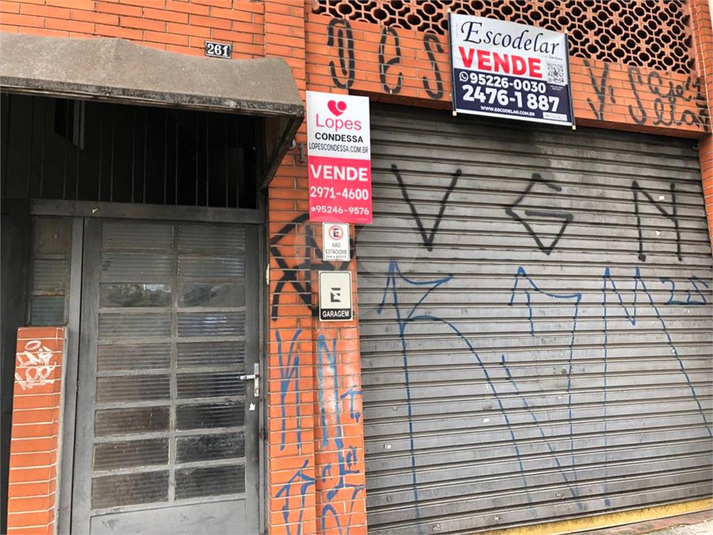 Foto REO775313
