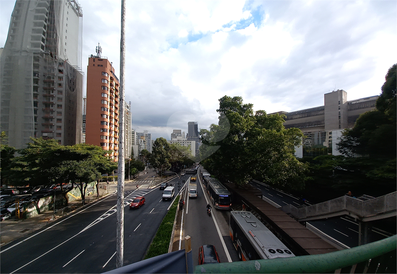 Foto REO775393