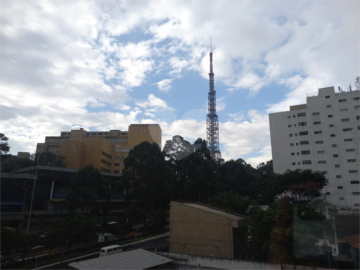 Foto REO775393