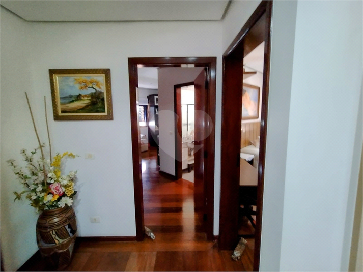 Foto REO775469
