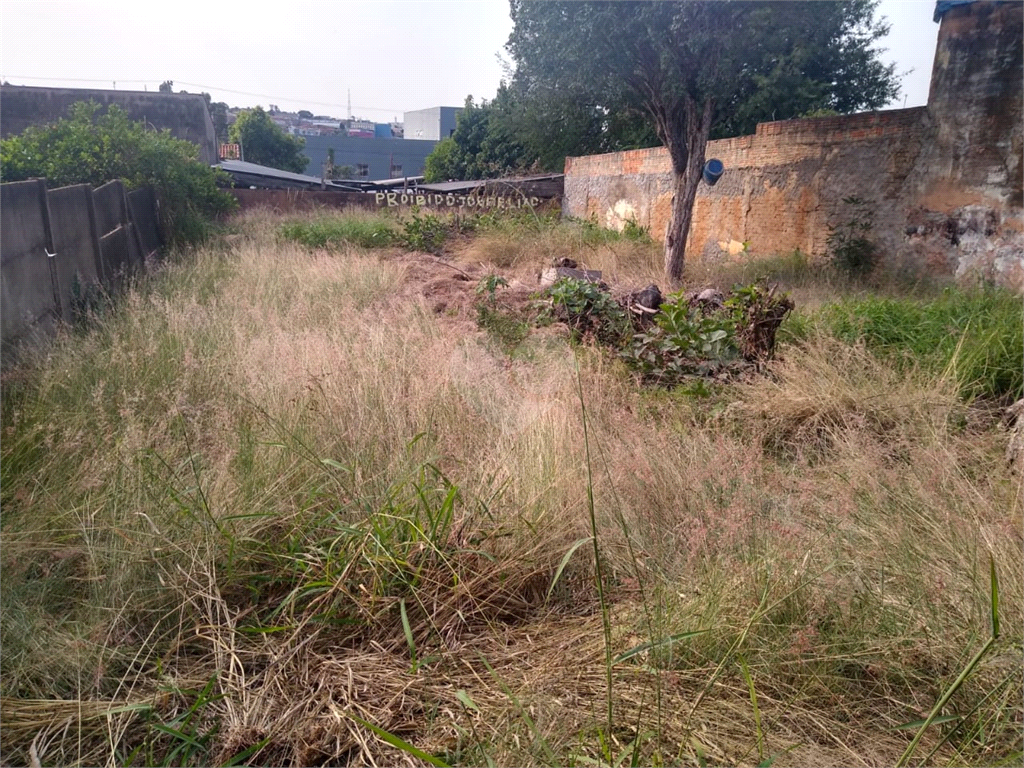 Venda Terreno Bauru Vila Antártica REO775659 6