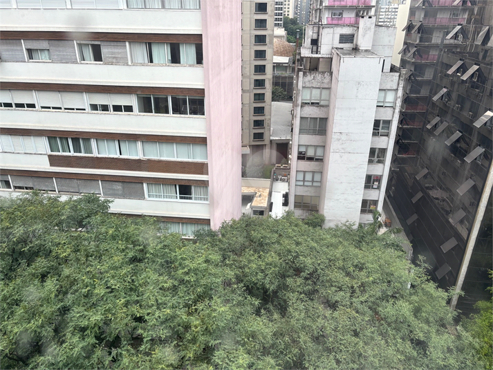 Foto REO775719