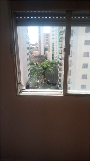 Foto REO775794