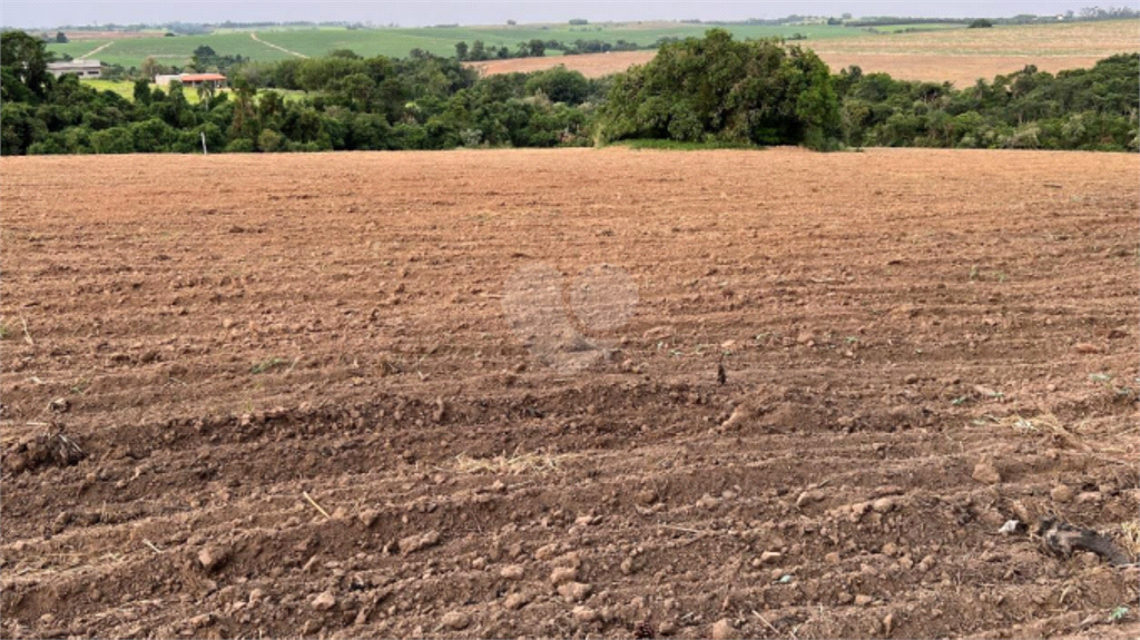 Venda Chácara Porto Feliz Estância Araruna REO775931 16