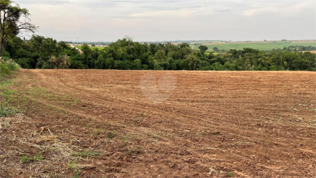 Venda Chácara Porto Feliz Estância Araruna REO775931 11