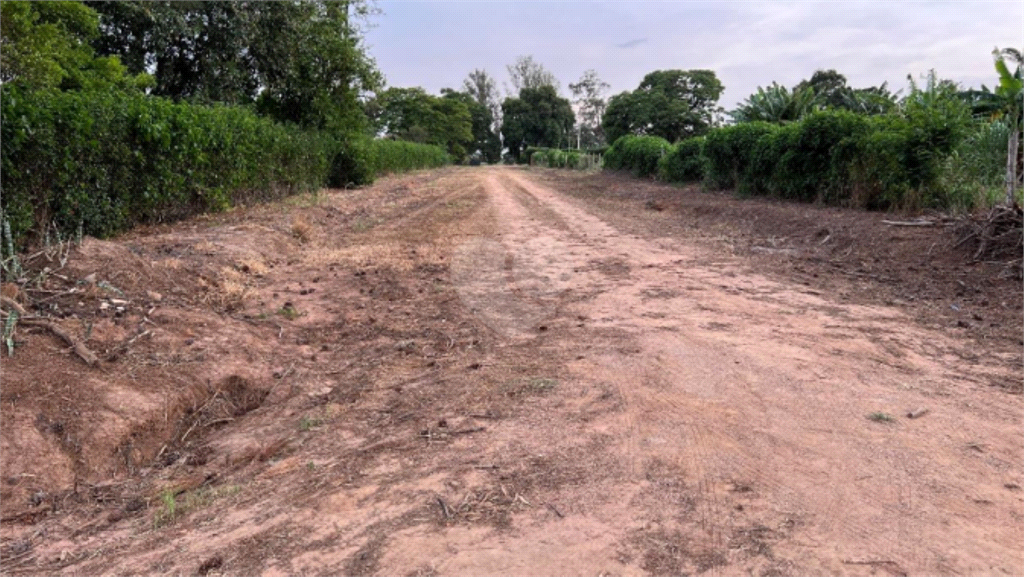 Venda Chácara Porto Feliz Estância Araruna REO775931 9