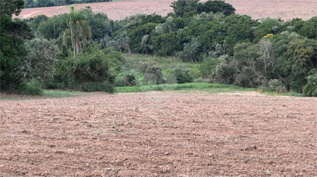 Venda Chácara Porto Feliz Estância Araruna REO775931 20