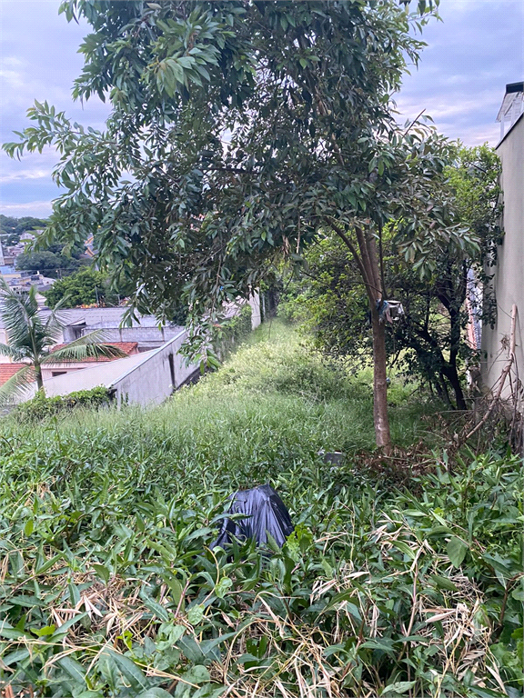 Venda Terreno São Paulo Vila Indiana REO776699 9