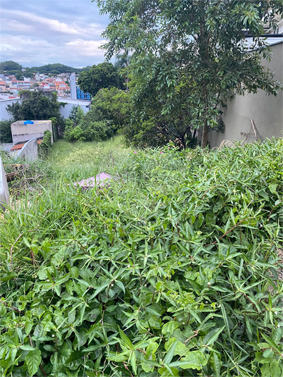 Venda Terreno São Paulo Vila Indiana REO776699 12