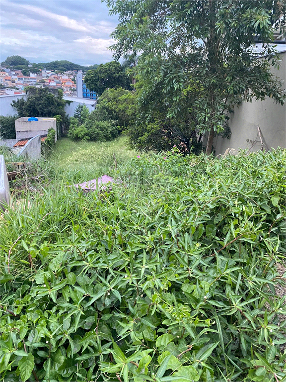 Venda Terreno São Paulo Vila Indiana REO776699 11