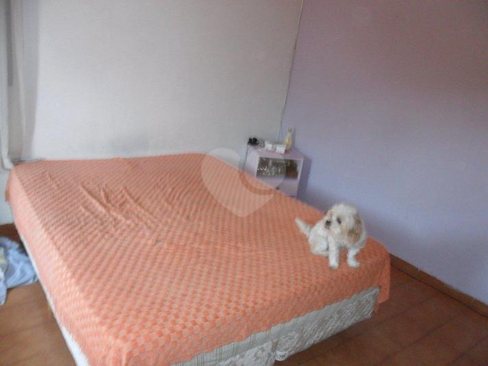 Foto REO7767