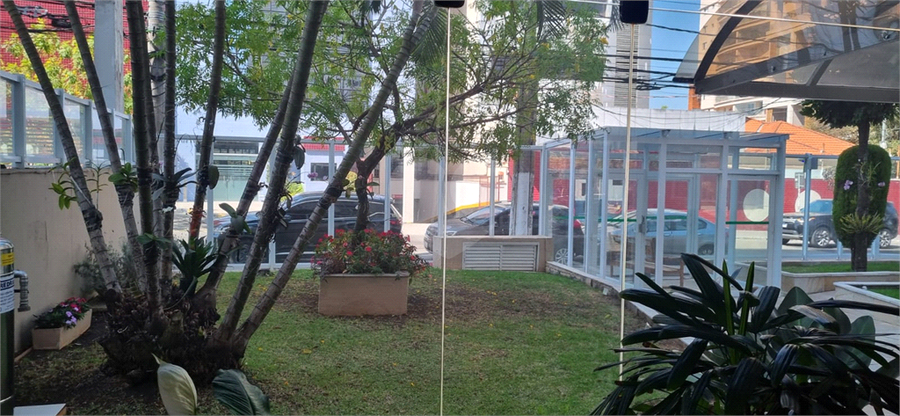 Foto REO777221
