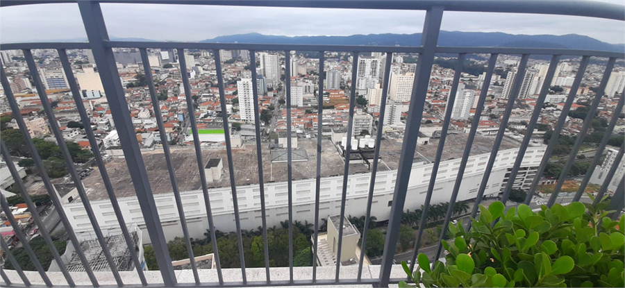 Foto REO778052
