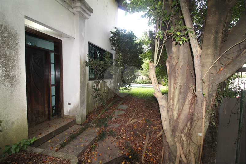 Foto REO778063