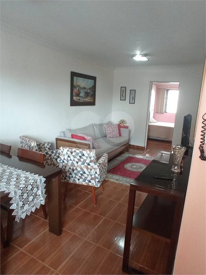 Foto REO778168