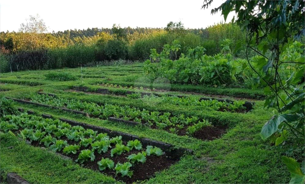 Venda Sítio Itatiba Bairro Itapema REO778376 13