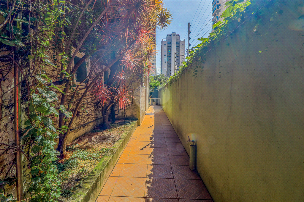 Aluguel Casa São Paulo Perdizes REO778524 26