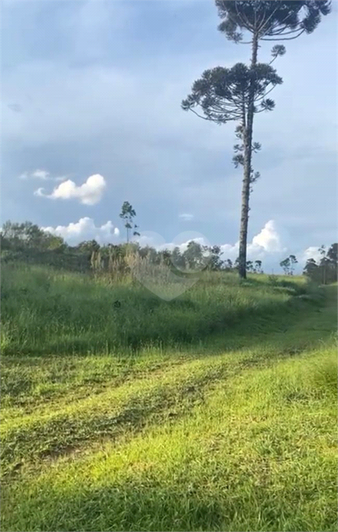 Venda Terreno Itapecerica Da Serra Jardim Horacina REO779034 1