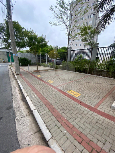 Foto REO779061