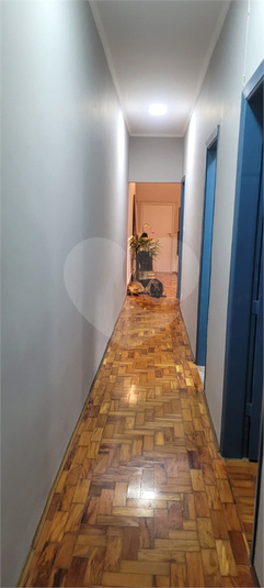 Foto REO779181