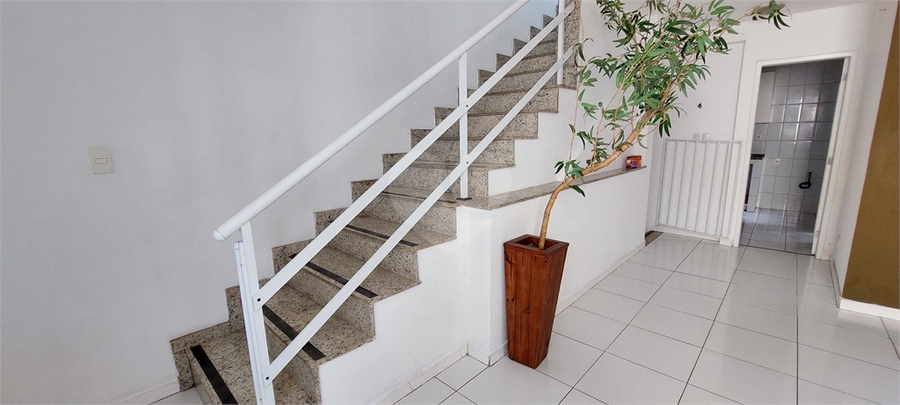 Foto REO779192