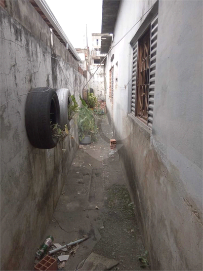 Foto REO779219